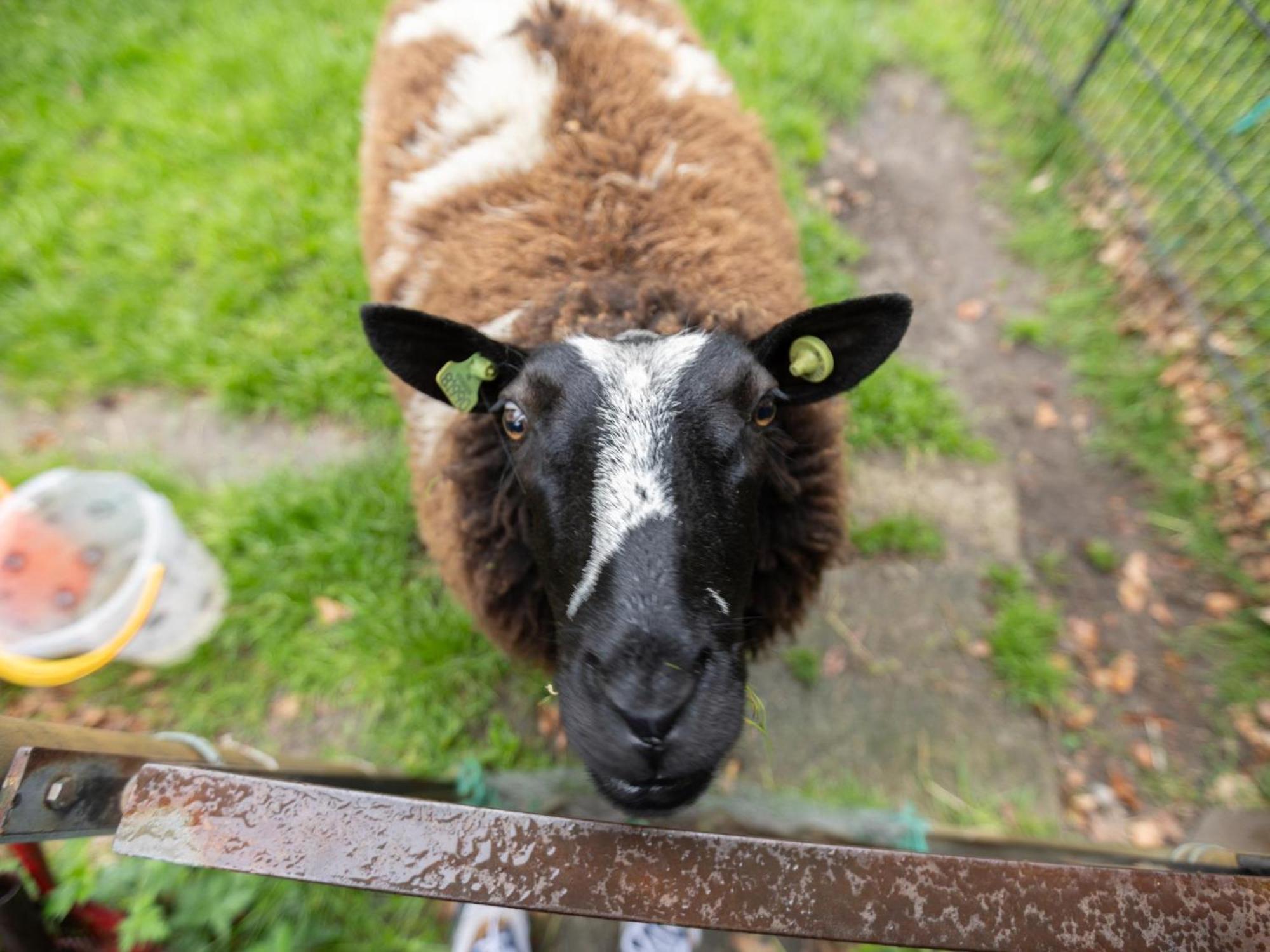 Steenenburg Zicht Nieuwkuijk Buitenkant foto
