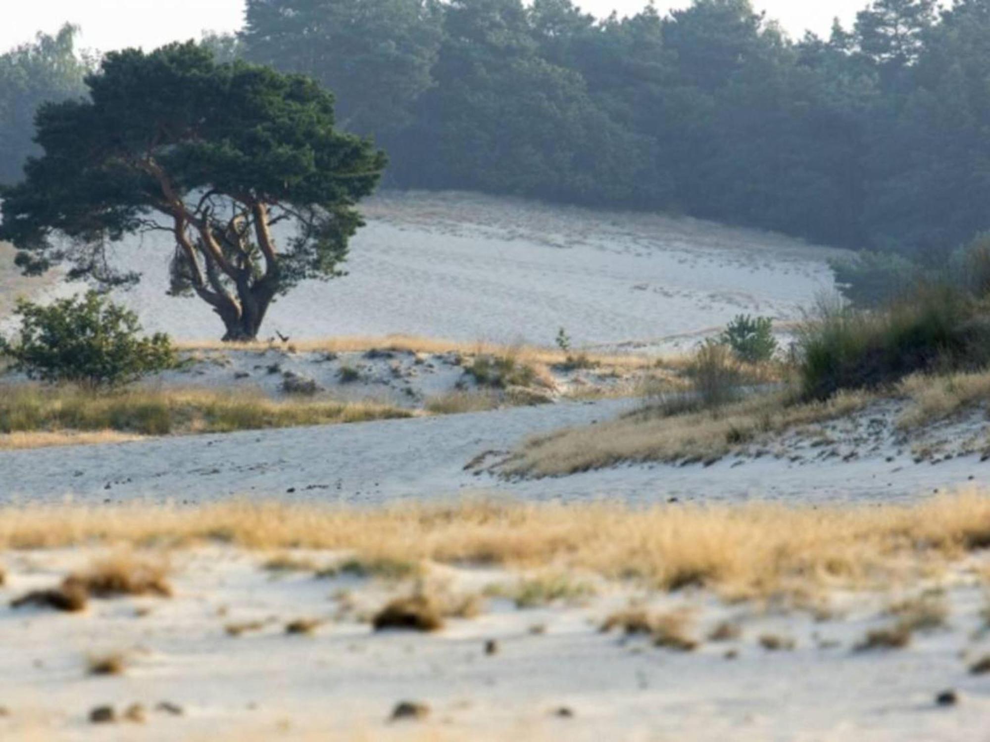 Steenenburg Zicht Nieuwkuijk Buitenkant foto